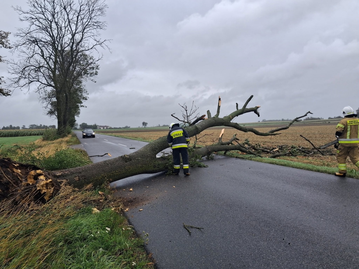 Wichura nad powiatem ciechanowskim. Około 30 zgłoszeń, strażacy zwiększyli obsadę